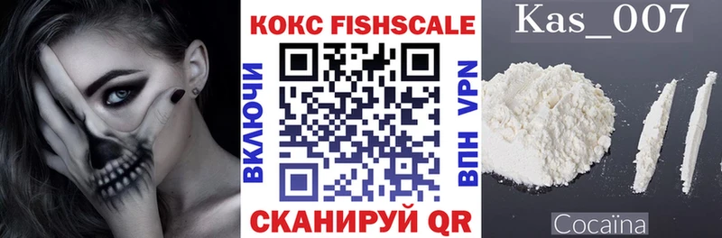 COCAIN Fish Scale Дербент