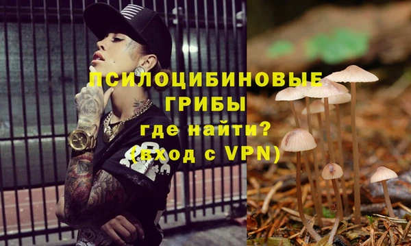 COCAINE Вяземский