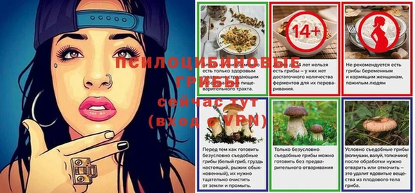 спиды Вязьма