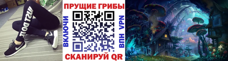 Галлюциногенные грибы Cubensis  цены   Дербент 